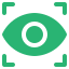 vision